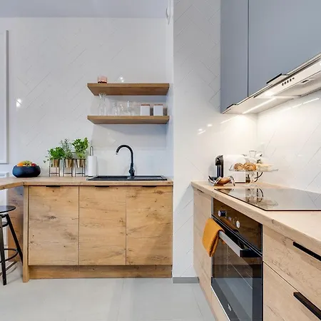 Magic Place - Francuska Park - Free Garage - Self Check-in Katowice